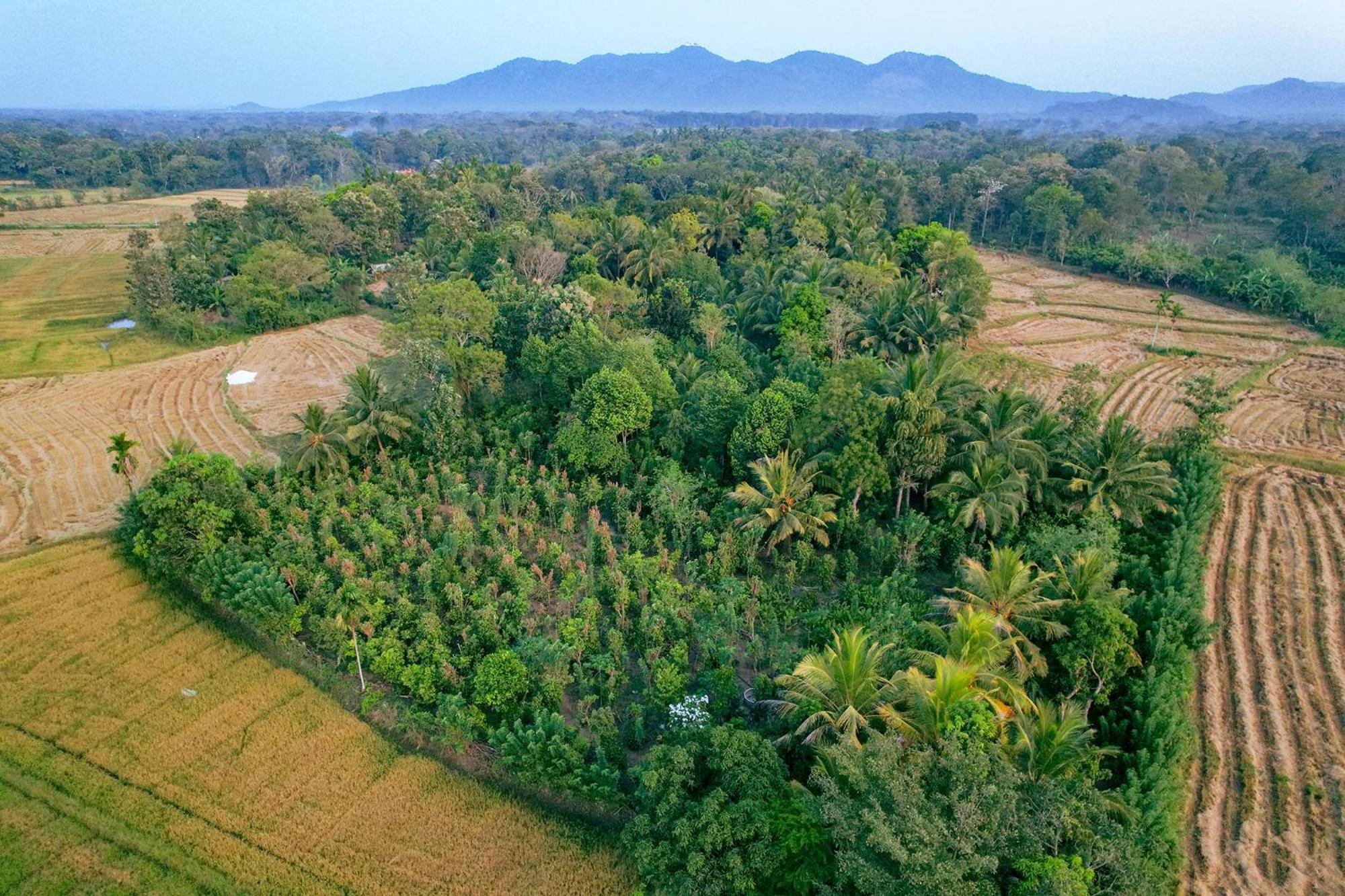 Mailagama Cinnamon Residence Kataragama Exteriér fotografie