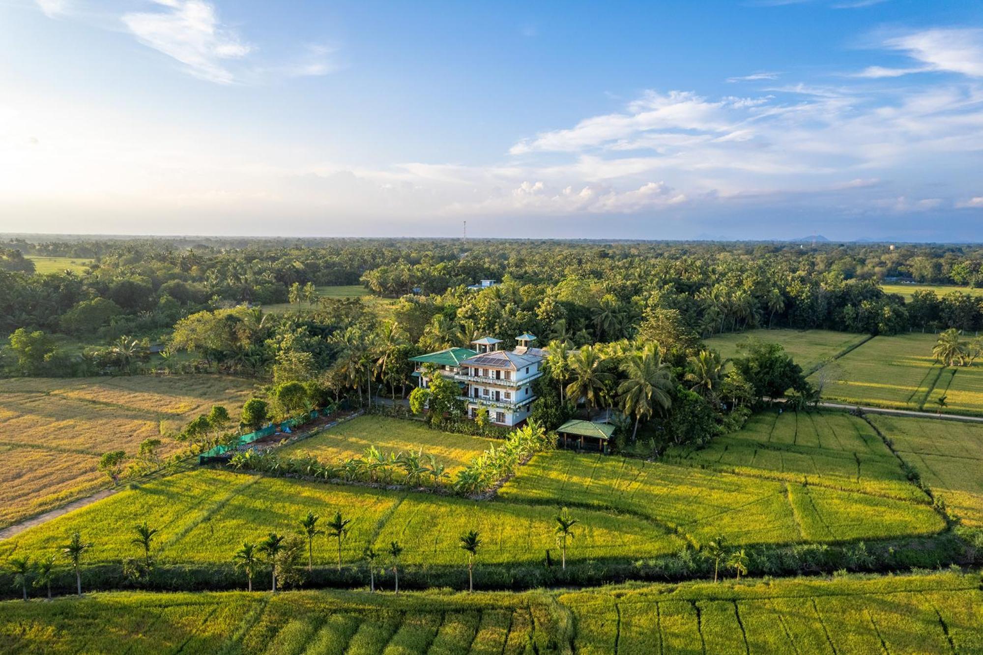 Mailagama Cinnamon Residence Kataragama Exteriér fotografie